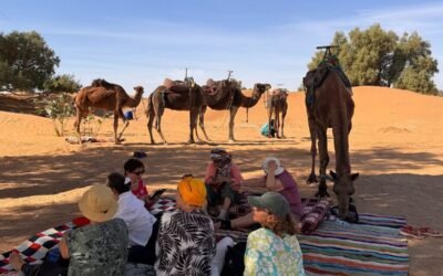 Budget Travel to Morocco for International Tourists: Real Costs, Smart Tips & How to Save More Without Sacrificing Experience